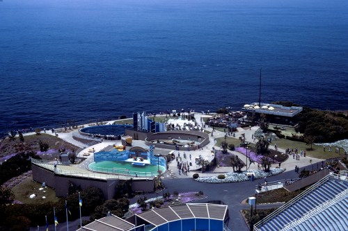 Aerial view of a coastal amusement park with pools, attractions, and visitors, surrounded by ocean and greenery.