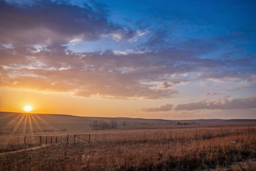 A serene landscape at sunset, featuring golden fields, a distant horizon, and a colorful sky with clouds.