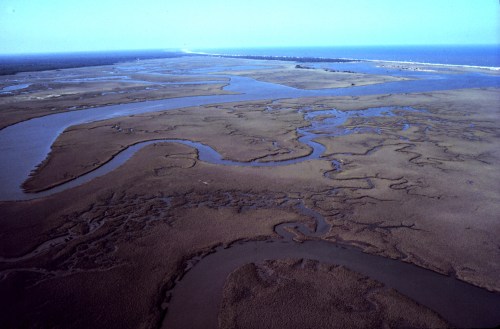 Aerial view of a coastal marshland with winding waterways and a distant shoreline under a clear blue sky.