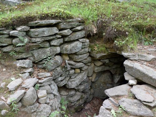 A stone structure partially covered by grass and ferns, leading into a dark opening in the ground.