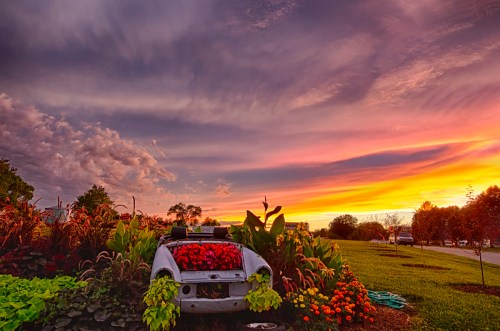 A vintage car surrounded by vibrant flowers and plants under a colorful sunset sky.