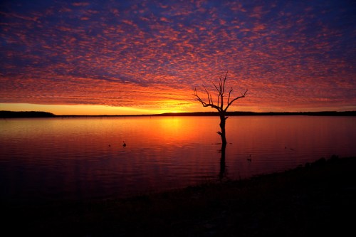 Silhouetted tree by a calm lake at sunset, with vibrant orange and purple clouds reflecting on the water.