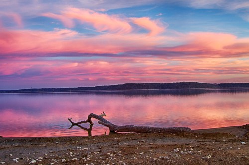 A serene lake at sunset, with vibrant pink and purple clouds reflecting on the water and a fallen tree in the foreground.