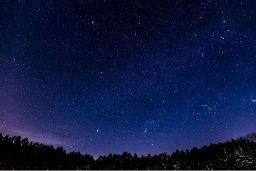 A starry night sky filled with countless stars, above a dark silhouette of trees at the horizon.