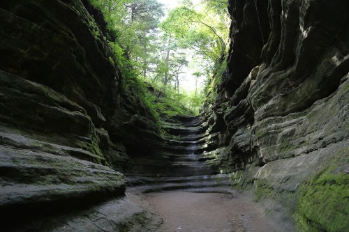 A narrow canyon with layered rock formations and lush greenery overhead, creating a serene natural pathway.