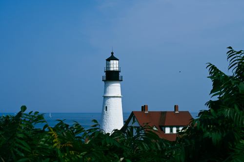 A white lighthouse with a black lantern, surrounded by greenery, overlooking the ocean under a blue sky.