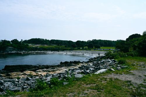 A rocky shoreline with calm water, surrounded by greenery and distant people enjoying the beach on a sunny day.