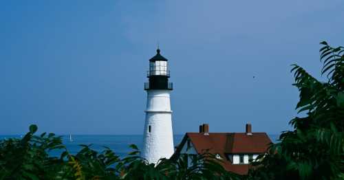 A white lighthouse with a black top stands near the ocean, surrounded by green foliage and a blue sky.