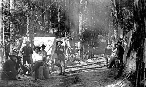 A black-and-white photo of a group of men at a campsite in a forest, surrounded by tents and trees.