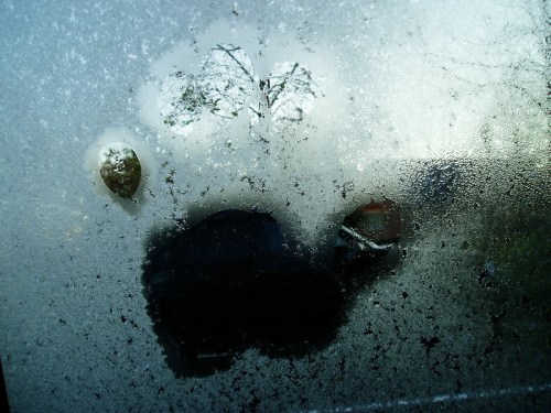 Frosted window with a tree reflection and a dark silhouette of a car, creating a wintry scene.
