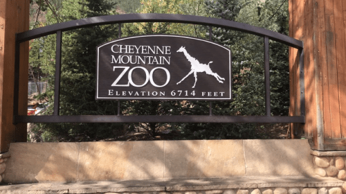 Sign for Cheyenne Mountain Zoo, featuring a giraffe silhouette and stating the elevation of 6714 feet.