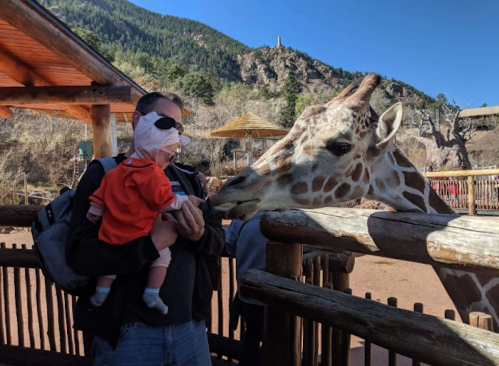 A man holds a baby while a giraffe leans over a fence, reaching out to them in a zoo setting.