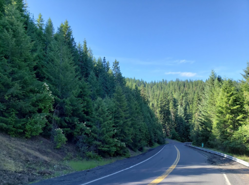 A winding road surrounded by lush green trees under a clear blue sky.