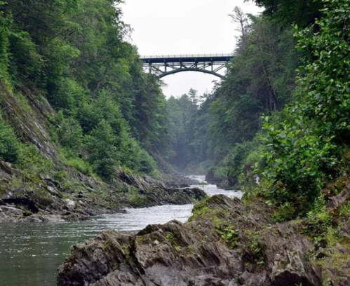 A serene river flows through a rocky landscape, with a bridge arching over lush green trees in the background.
