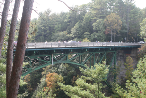 A green bridge spans a forested area, with people walking along it and trees in the background.