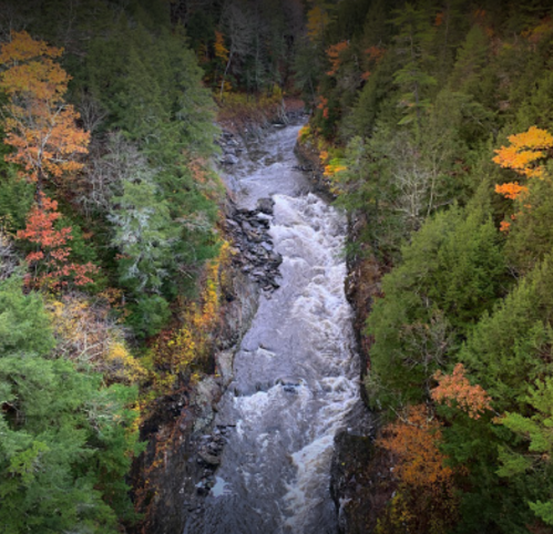 Aerial view of a rushing river surrounded by vibrant autumn foliage in a forested canyon.