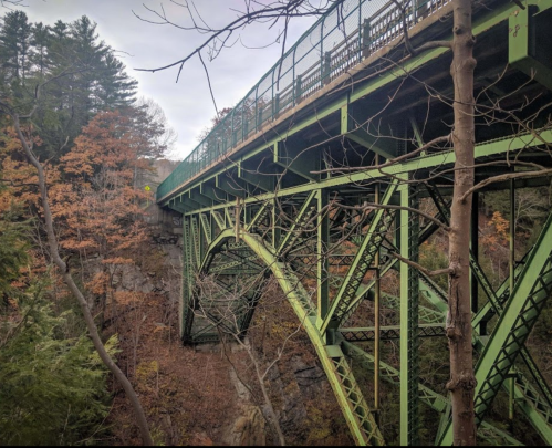 A green bridge spans a rocky gorge, surrounded by autumn trees and a cloudy sky.