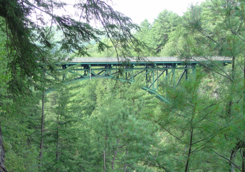 A green metal bridge spans a forested valley, surrounded by tall trees and lush greenery.