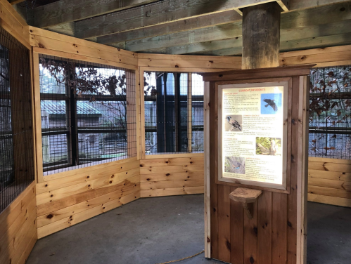 Interior of a wildlife exhibit featuring wooden walls, informational display, and large windows with a view outside.
