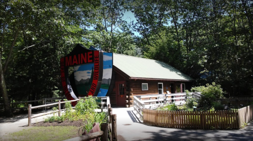 A rustic building surrounded by trees, featuring a large sign that reads "Maine" and "Wildlife."