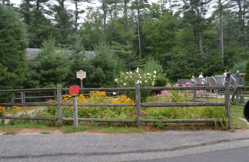 A wooden fence surrounds a colorful flower garden near a rustic building, with people enjoying the outdoor space.