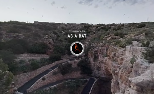A scenic view of a rocky landscape with a circular interface inviting users to "Experience life as a bat."