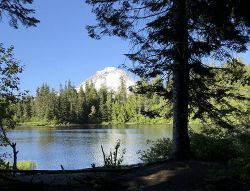 A serene lake surrounded by trees, with a snow-capped mountain in the background under a clear blue sky.