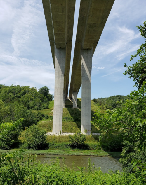A view of a concrete bridge supported by tall pillars, surrounded by greenery and a river below.