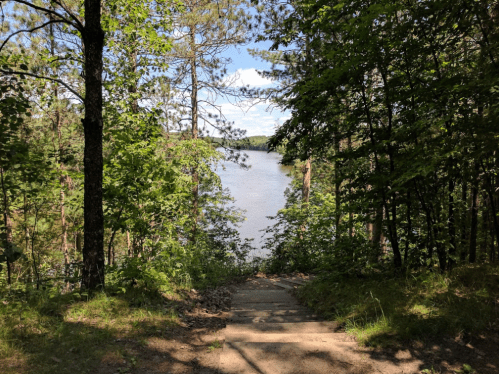 A serene path through trees leading to a calm lake under a clear blue sky.