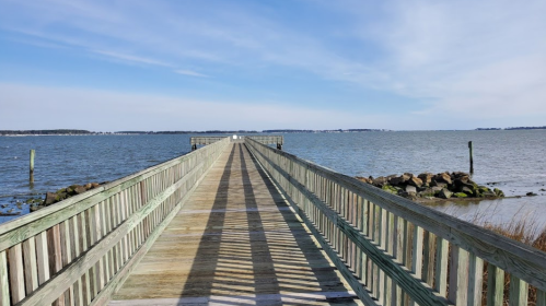 A wooden pier extends into calm waters under a clear blue sky, with distant land visible on the horizon.