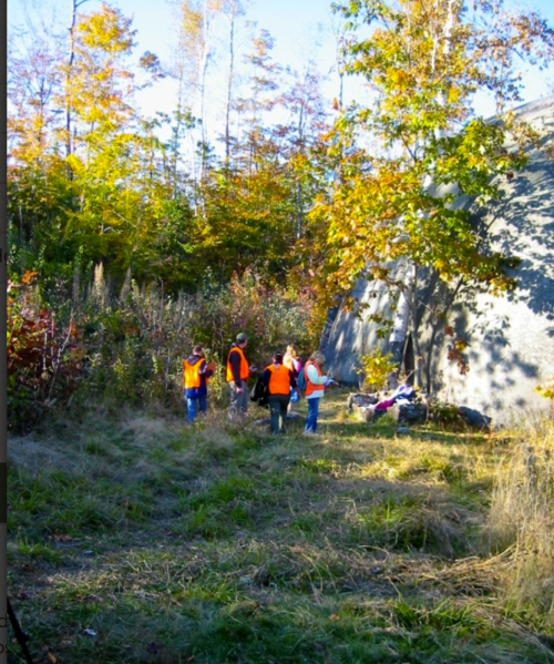 A group of people in orange vests stands in a wooded area with colorful autumn foliage and tall grass.