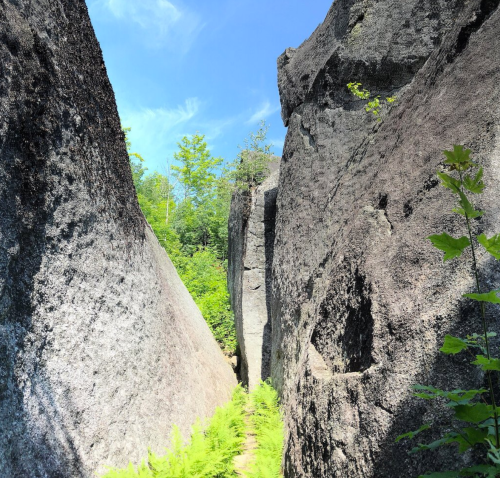 Narrow passage between large rocks, surrounded by greenery and a clear blue sky.