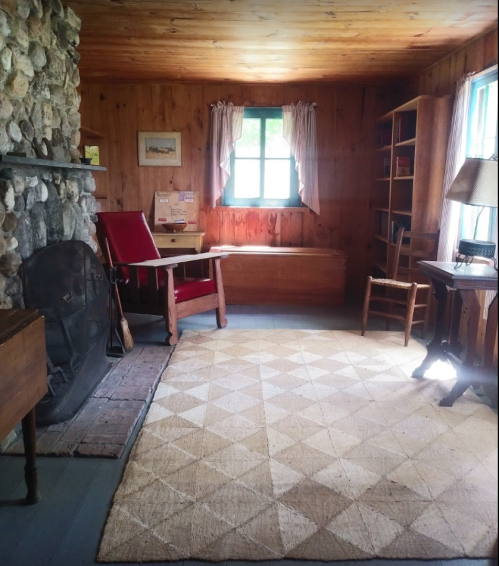 Cozy interior of a rustic cabin with a stone fireplace, wooden furniture, and a patterned rug. Natural light from a window.