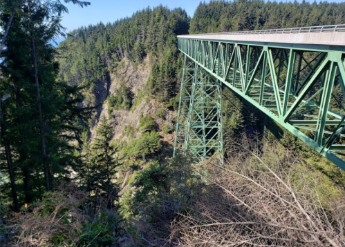 A green steel bridge spans a deep canyon, surrounded by dense evergreen trees and rocky cliffs.