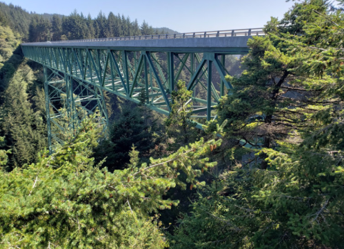 A green steel bridge spans a deep forested canyon, surrounded by tall trees and mountains in the background.