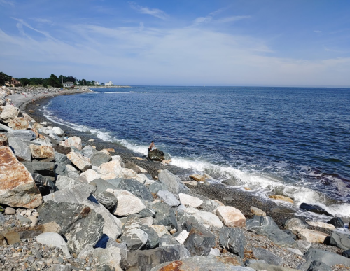 A rocky shoreline with gentle waves lapping at the stones under a clear blue sky.