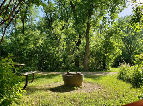 A serene outdoor scene featuring a fire pit surrounded by lush greenery and trees under a clear blue sky.
