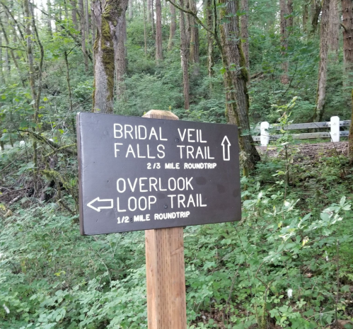 Trail sign in a forest, indicating directions for Bridal Veil Falls Trail and Overlook Loop Trail with distances.