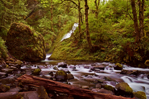 A serene forest scene with a flowing river, moss-covered rocks, and a waterfall surrounded by lush greenery.