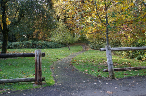 A winding path through a park, surrounded by trees with autumn foliage and a wooden fence.