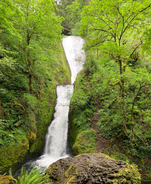 A lush green landscape featuring a cascading waterfall surrounded by trees and mossy rocks.