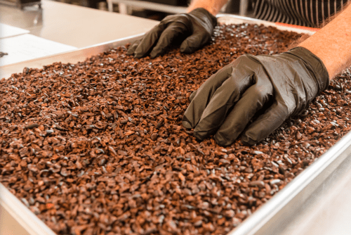 Hands wearing black gloves sorting through a tray of cacao nibs.