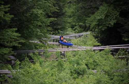A person rides a blue sled on a metal track through a lush green forest.