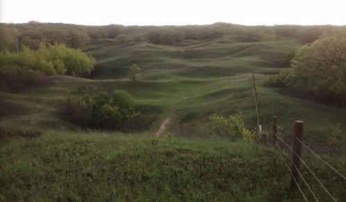 Rolling green hills under a soft sky, with a winding path and trees in the background. A peaceful natural landscape.