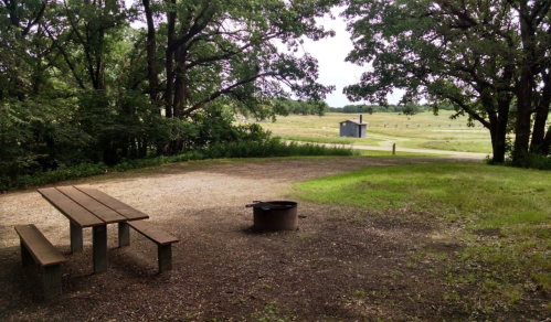 A picnic table and fire pit in a grassy area, surrounded by trees, with a distant shed and open field beyond.