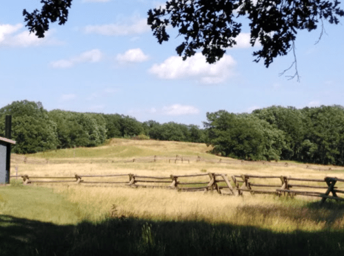 A serene landscape featuring a grassy field, wooden fences, and trees under a blue sky with fluffy clouds.