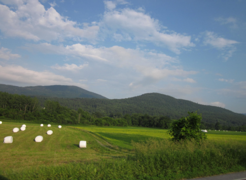 Rolling green hills under a blue sky, with white hay bales scattered across a lush field.