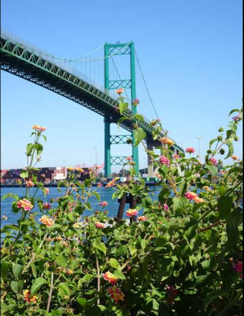 A green bridge spans over water, framed by colorful flowers in the foreground and shipping containers in the background.