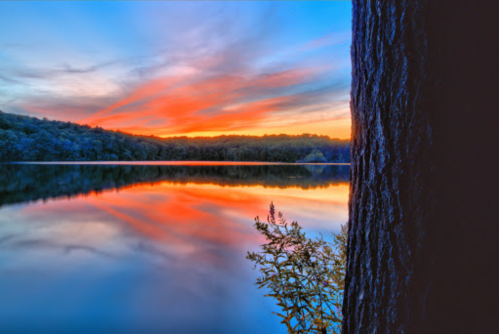 A serene lake at sunset, reflecting vibrant colors in the water, framed by a tree trunk on the right.