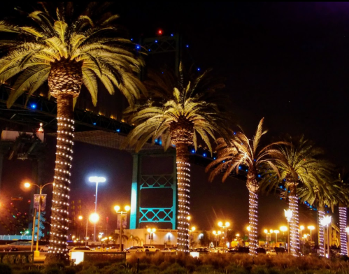 Illuminated palm trees line a street at night, with a bridge and colorful lights in the background.